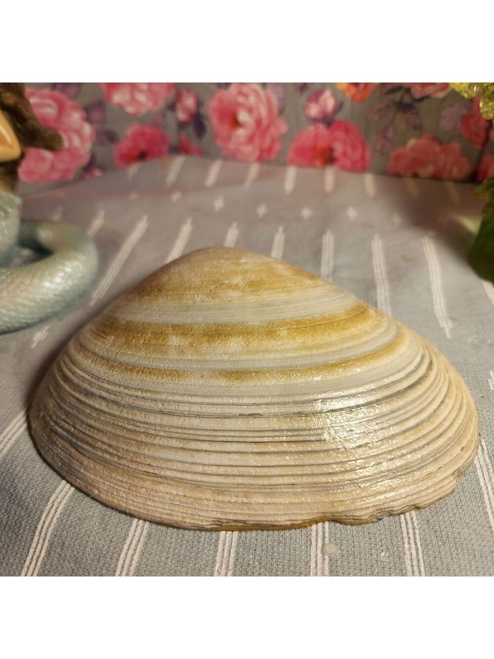 DECOUPAGE CLAM SHELL   - Picture 7 of 7